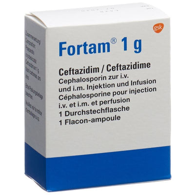 FORTAM Trockensub 1 g Durchstf
